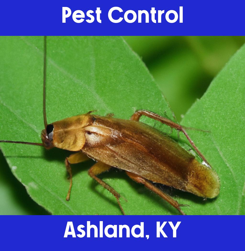pest control in Ashland Kentucky