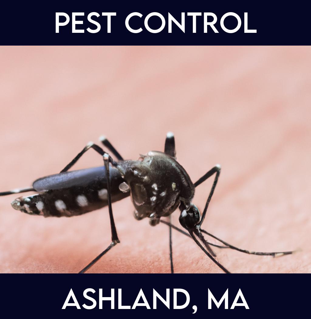 pest control in Ashland Massachusetts