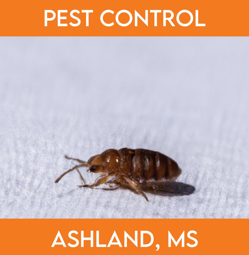 pest control in Ashland Mississippi