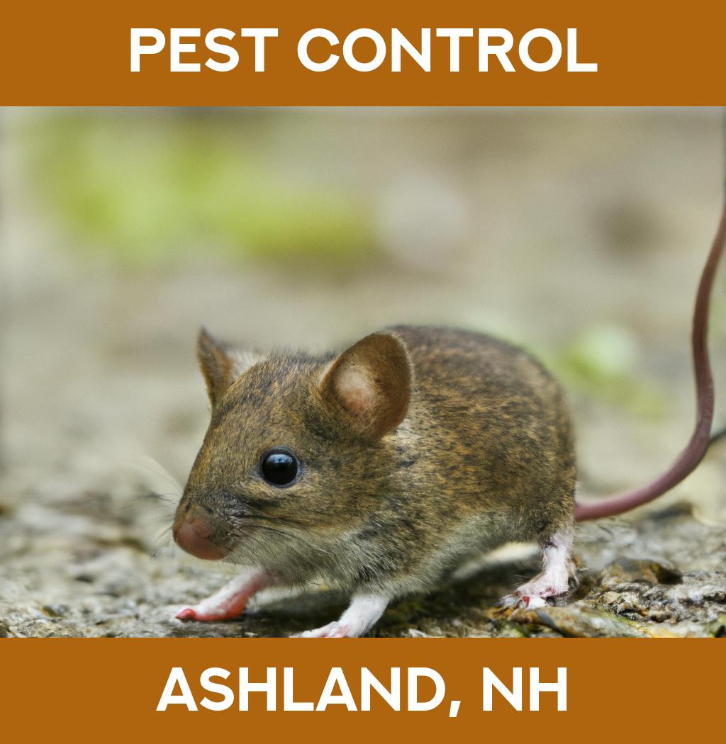 pest control in Ashland New Hampshire