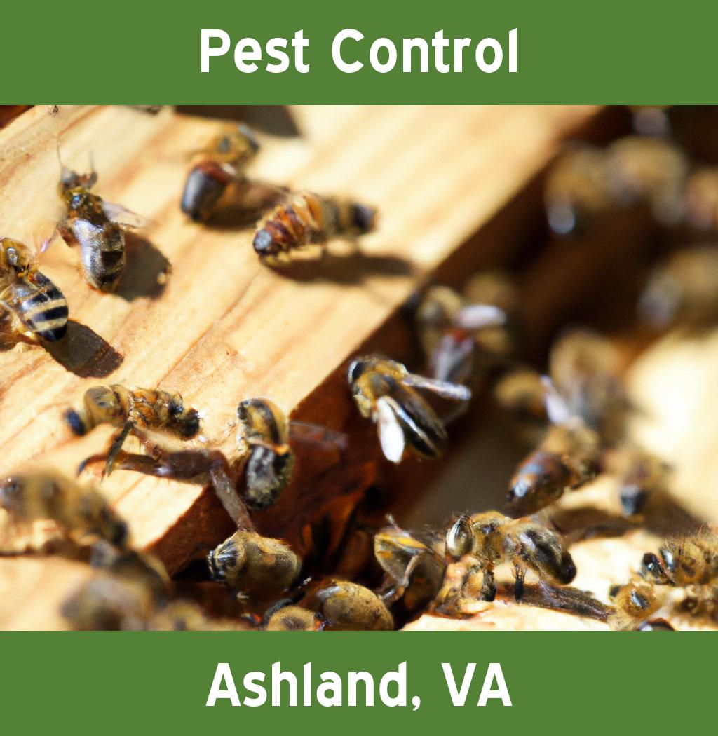 pest control in Ashland Virginia