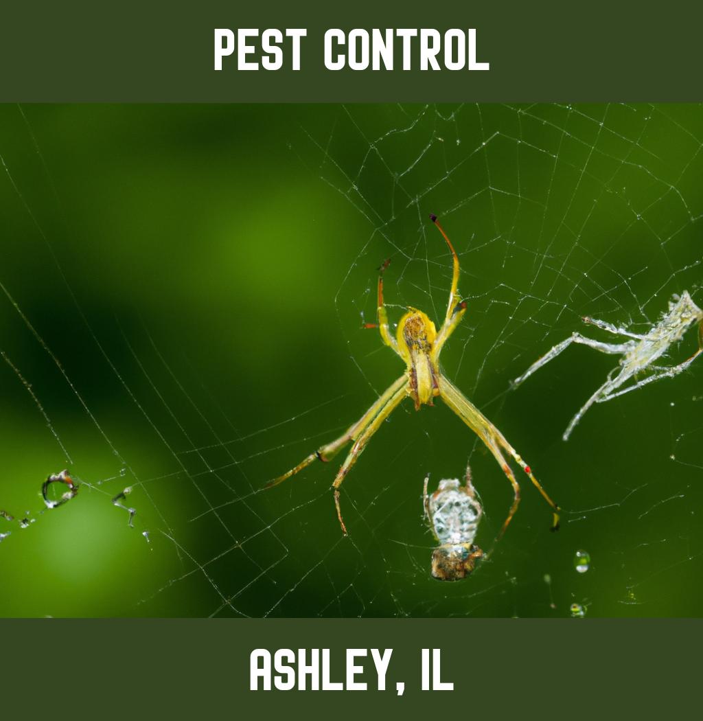 pest control in Ashley Illinois
