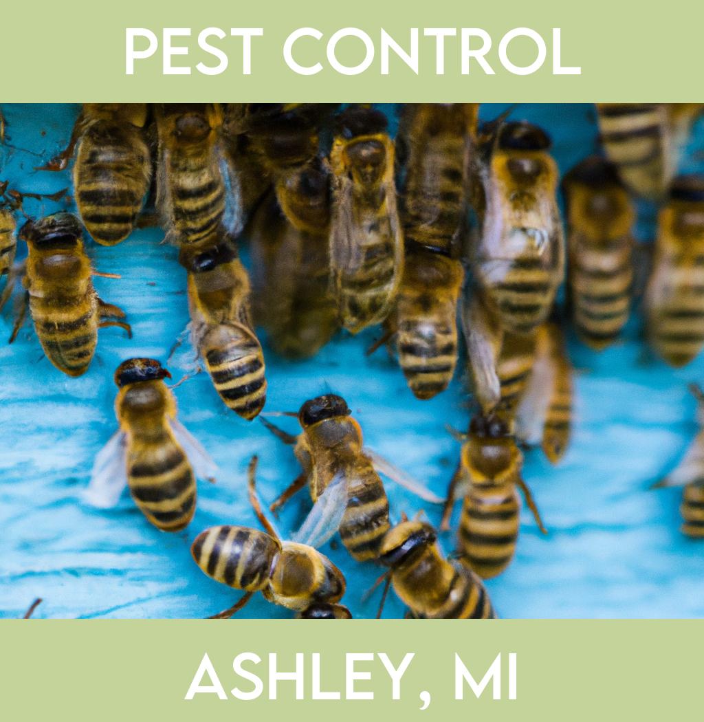 pest control in Ashley Michigan