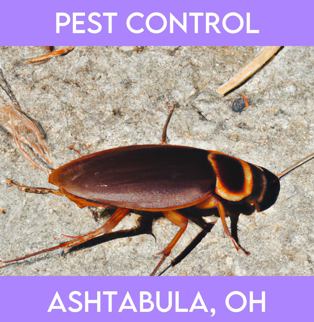 pest control in Ashtabula Ohio