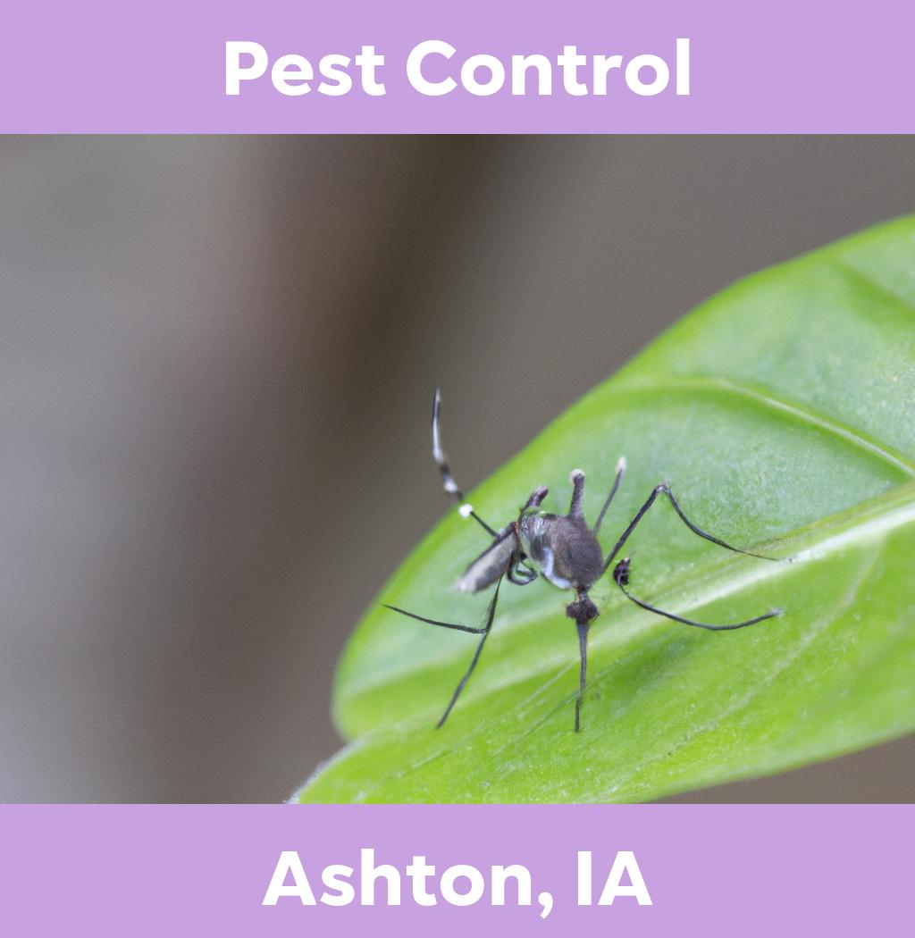 pest control in Ashton Iowa