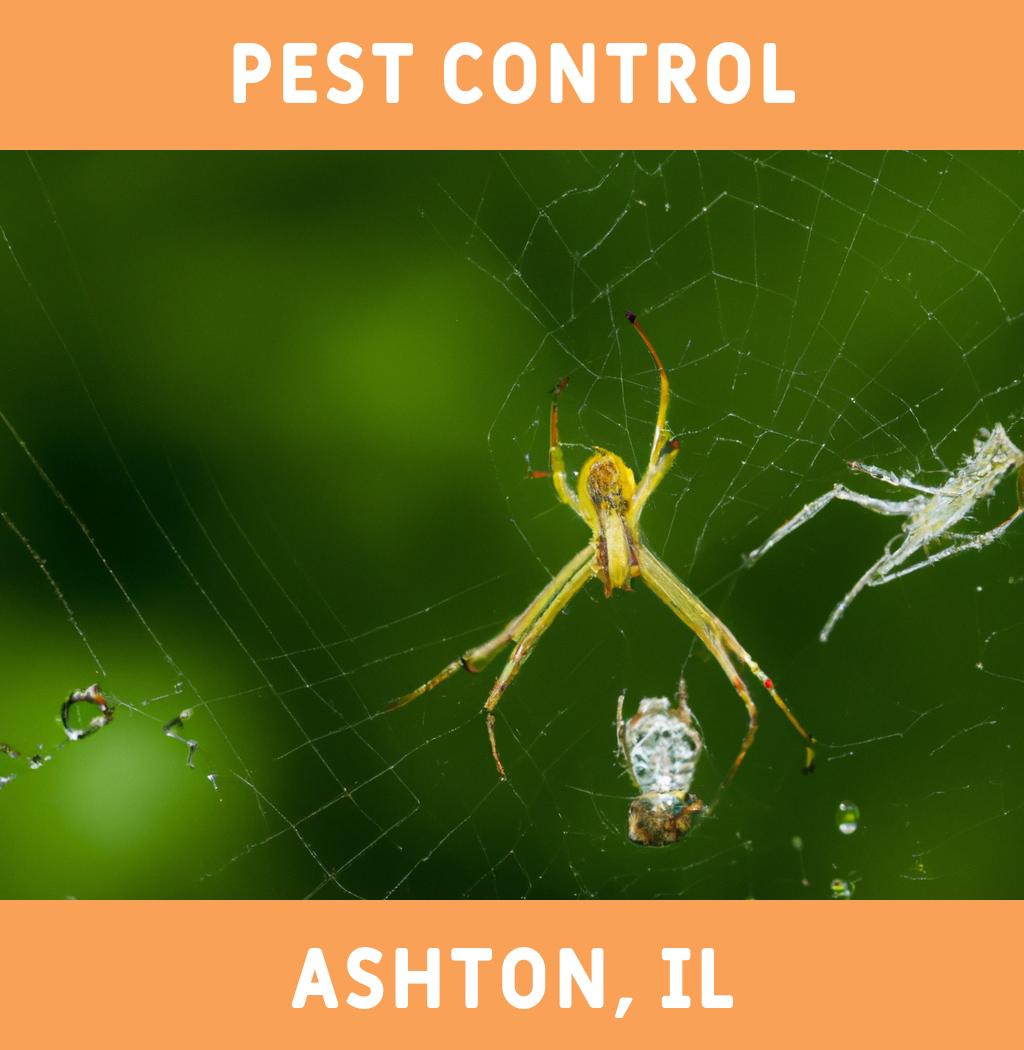 pest control in Ashton Illinois