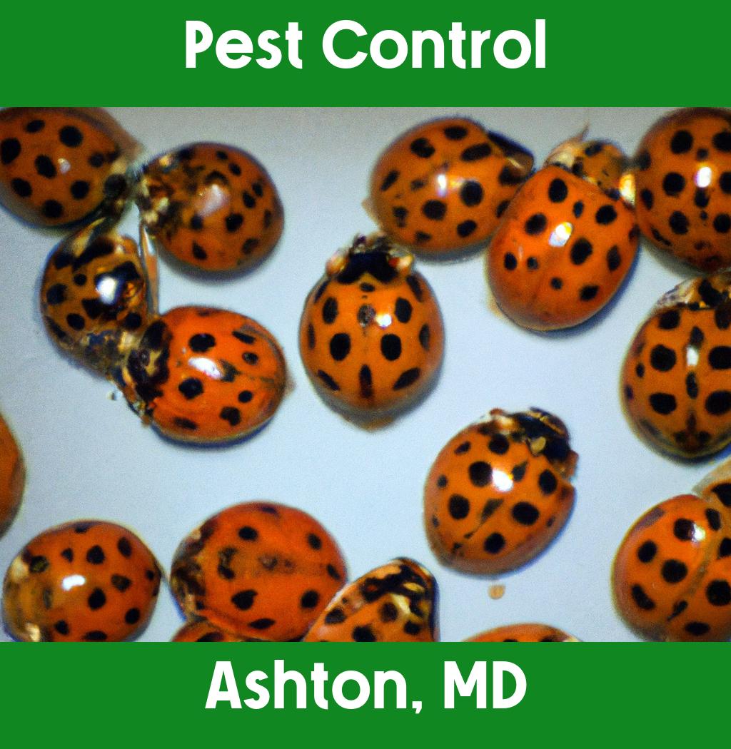 pest control in Ashton Maryland