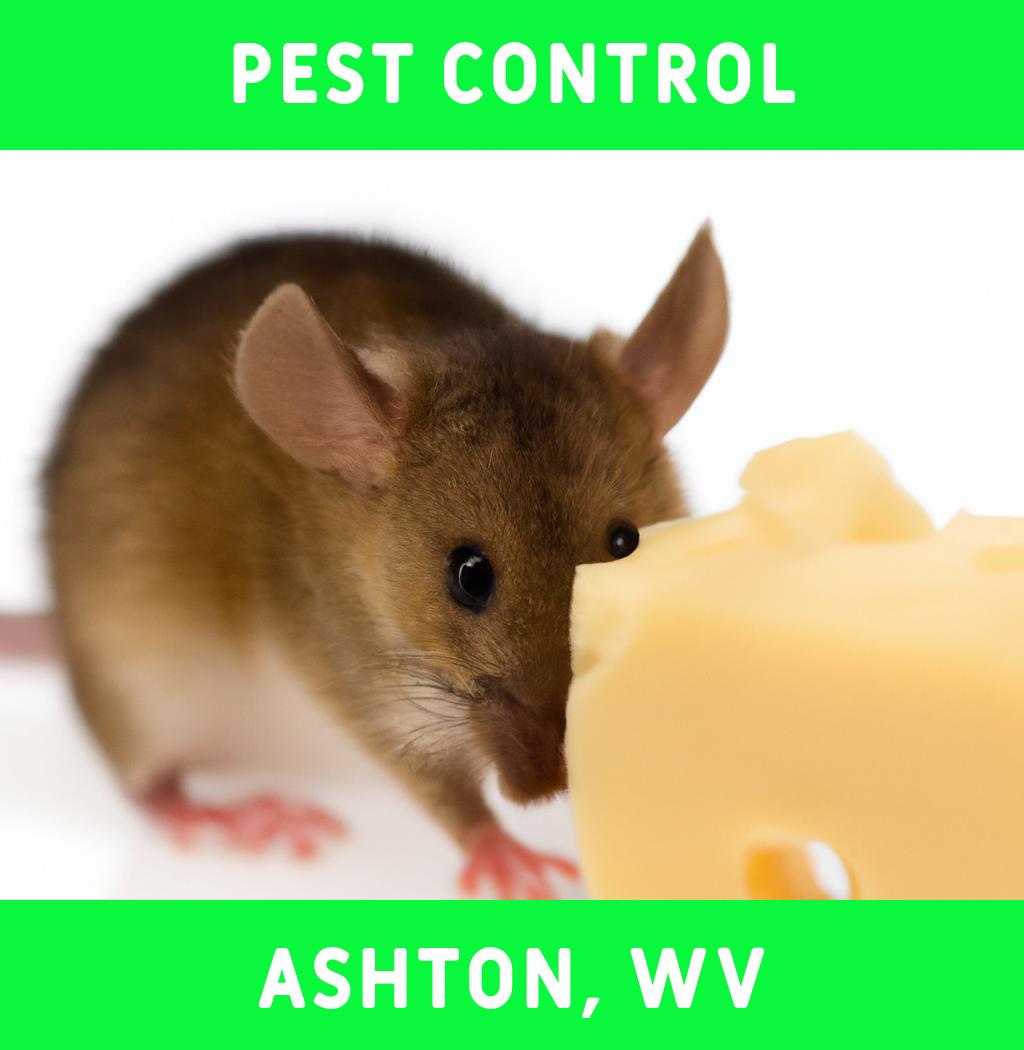 pest control in Ashton West Virginia