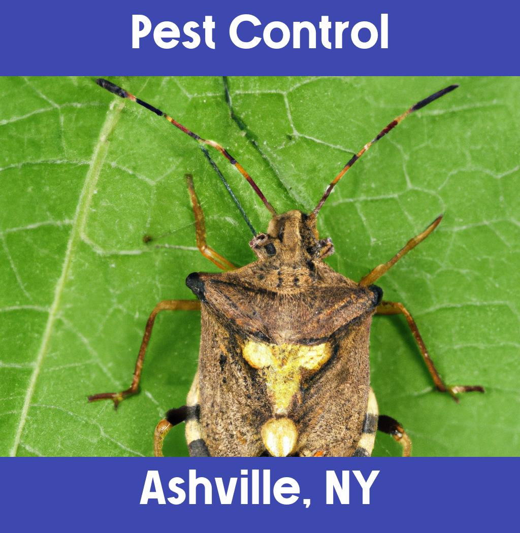 pest control in Ashville New York