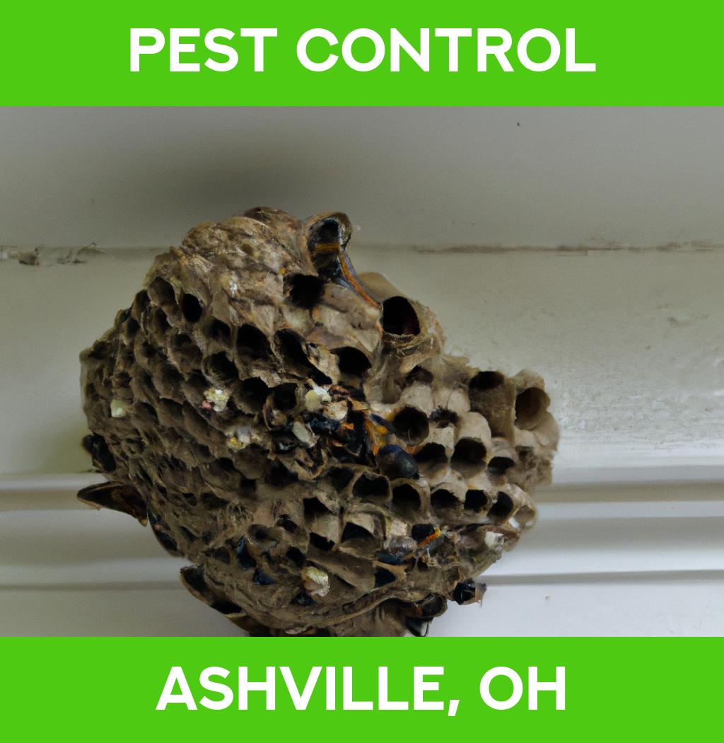 pest control in Ashville Ohio