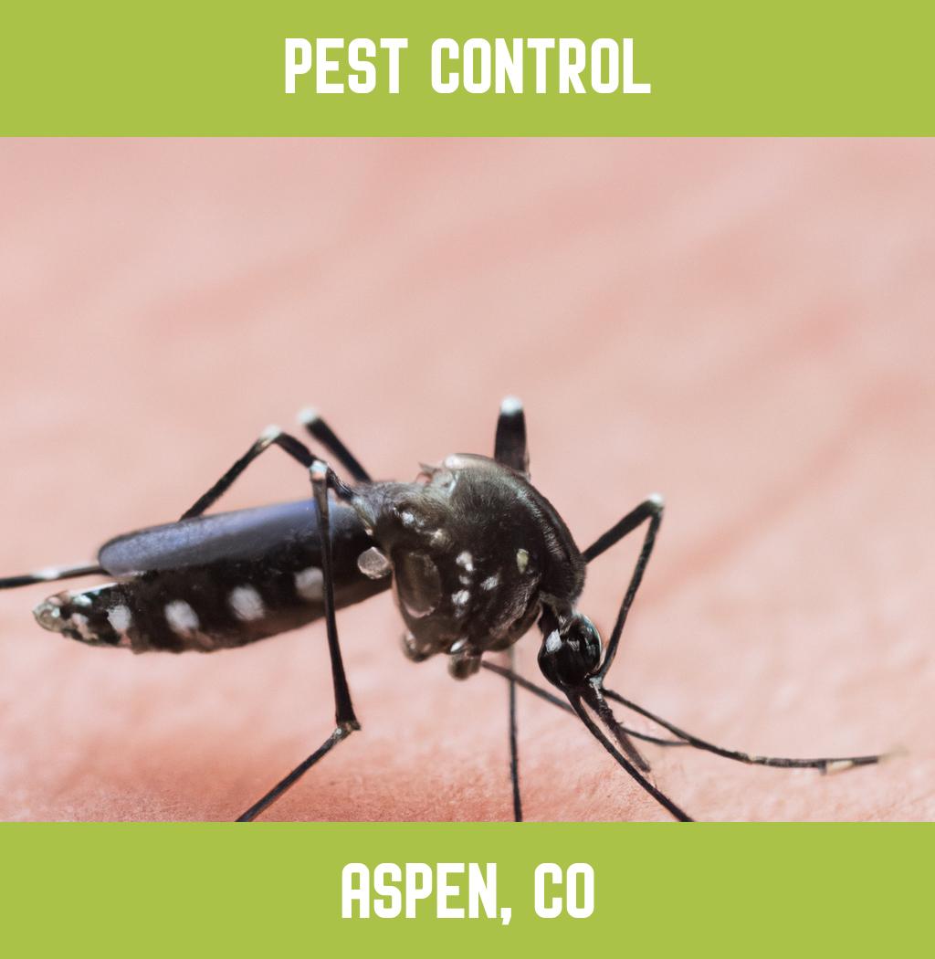 pest control in Aspen Colorado