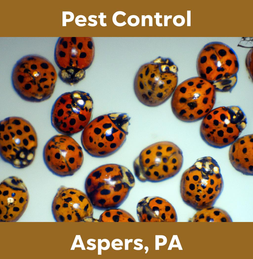 pest control in Aspers Pennsylvania
