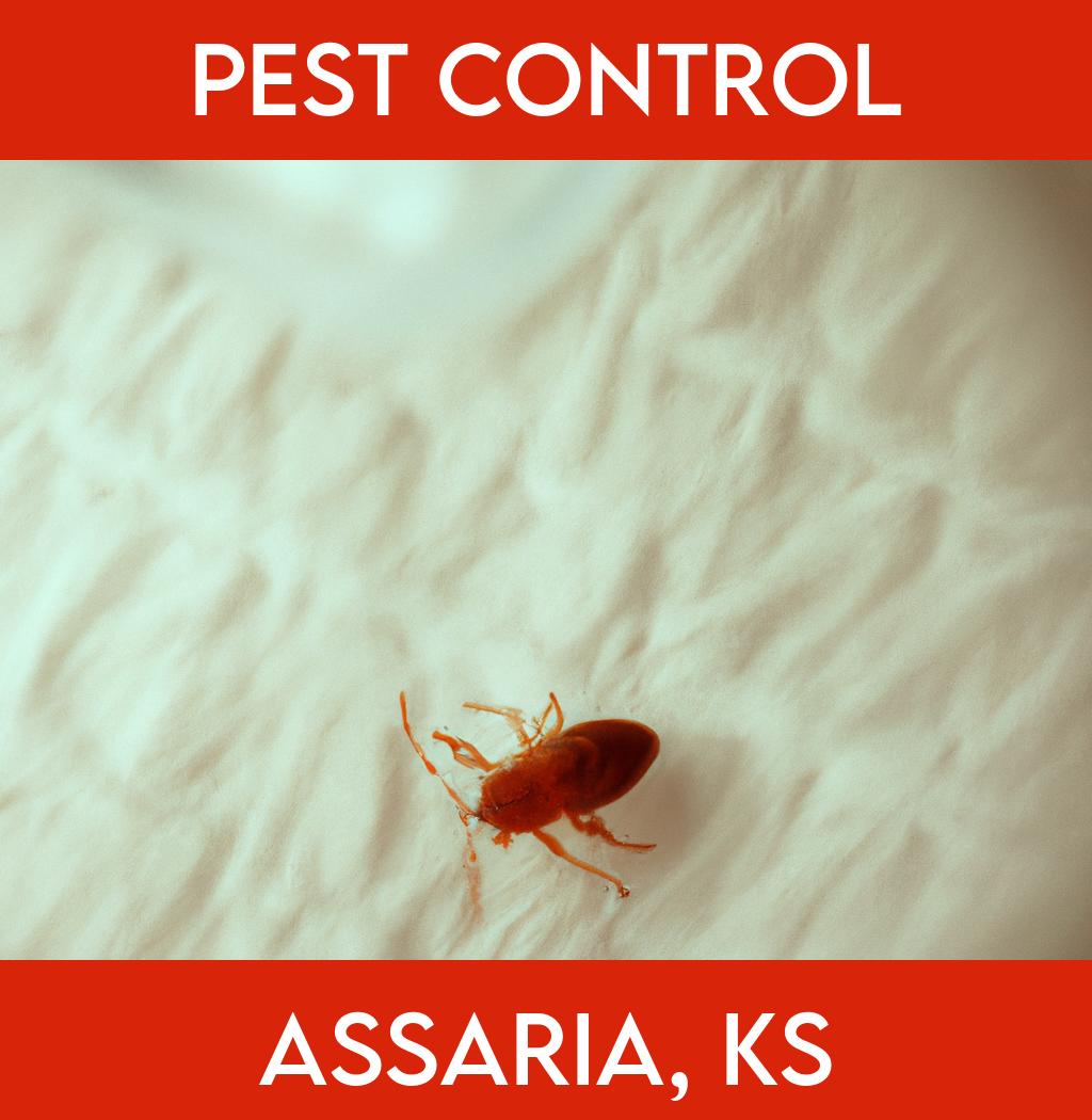 pest control in Assaria Kansas