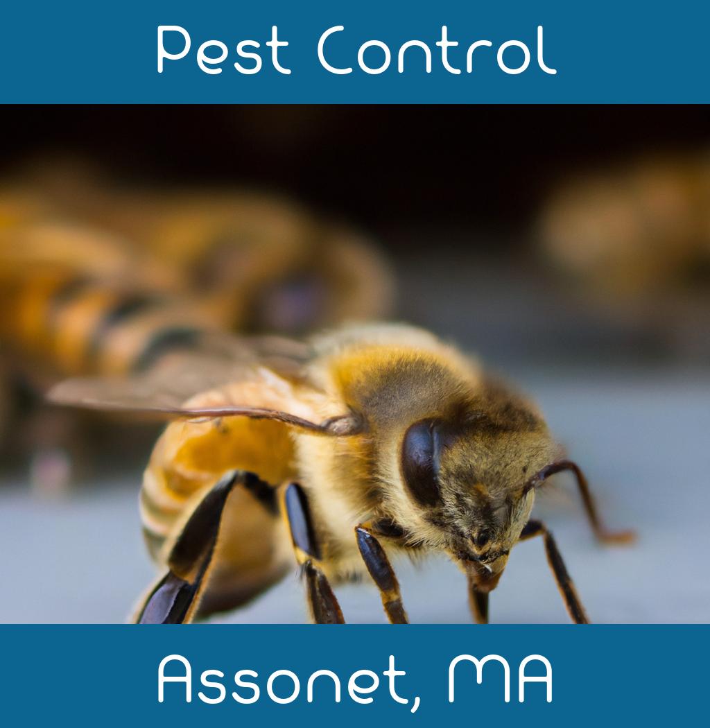 pest control in Assonet Massachusetts