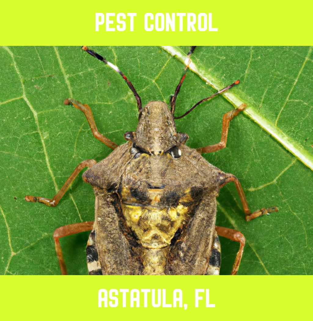 pest control in Astatula Florida