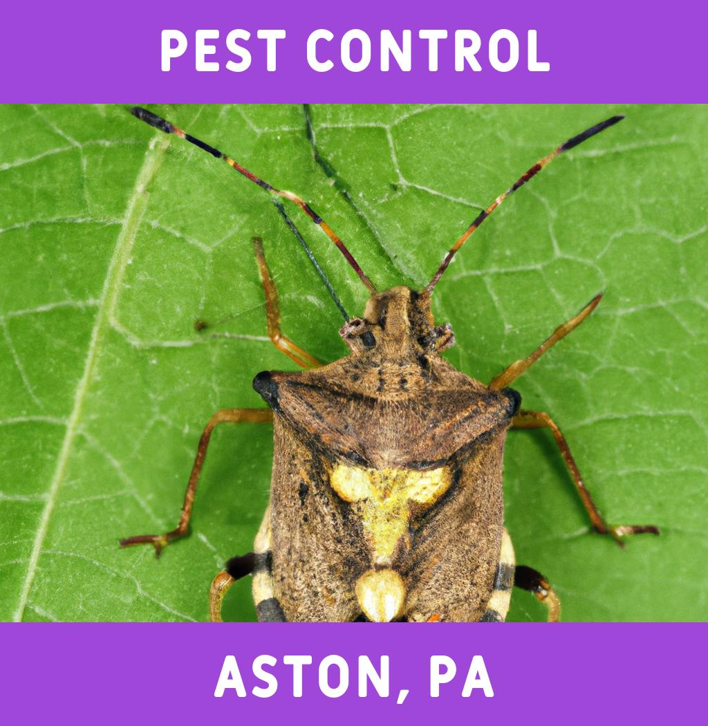 pest control in Aston Pennsylvania