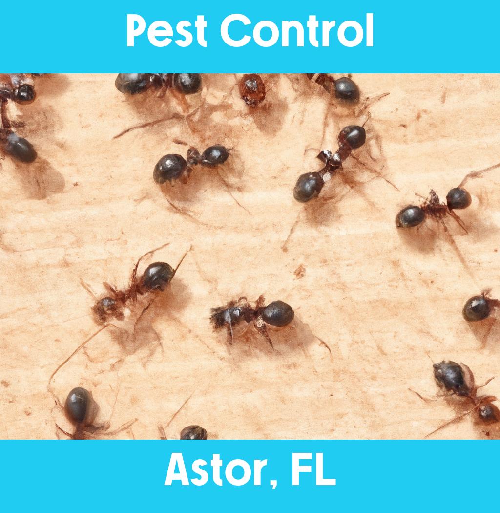 pest control in Astor Florida
