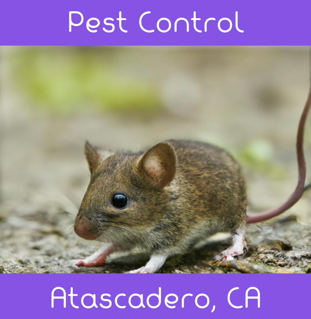 pest control in Atascadero California