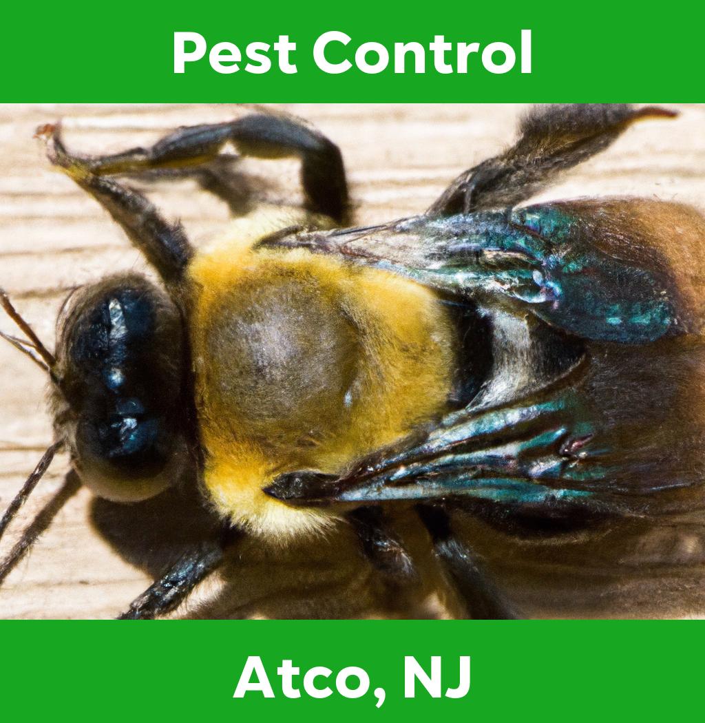 pest control in Atco New Jersey