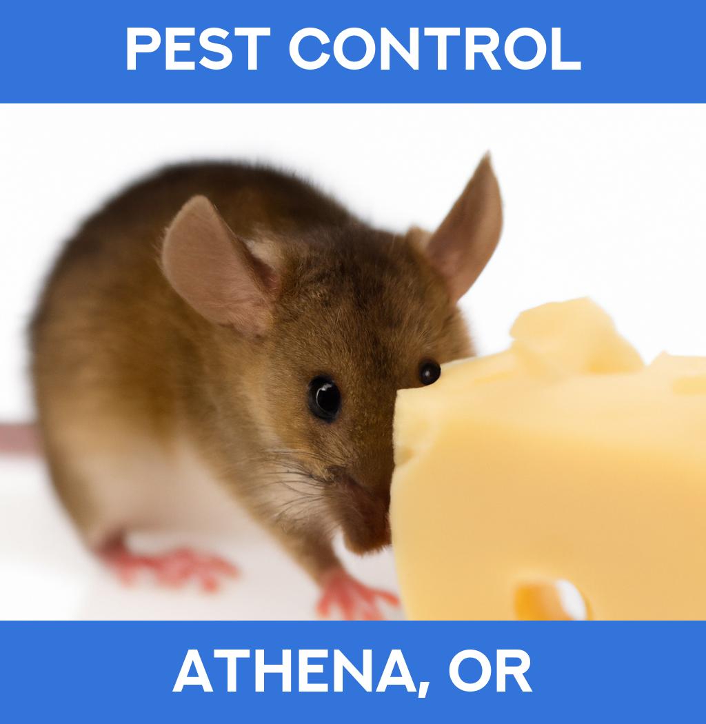 pest control in Athena Oregon