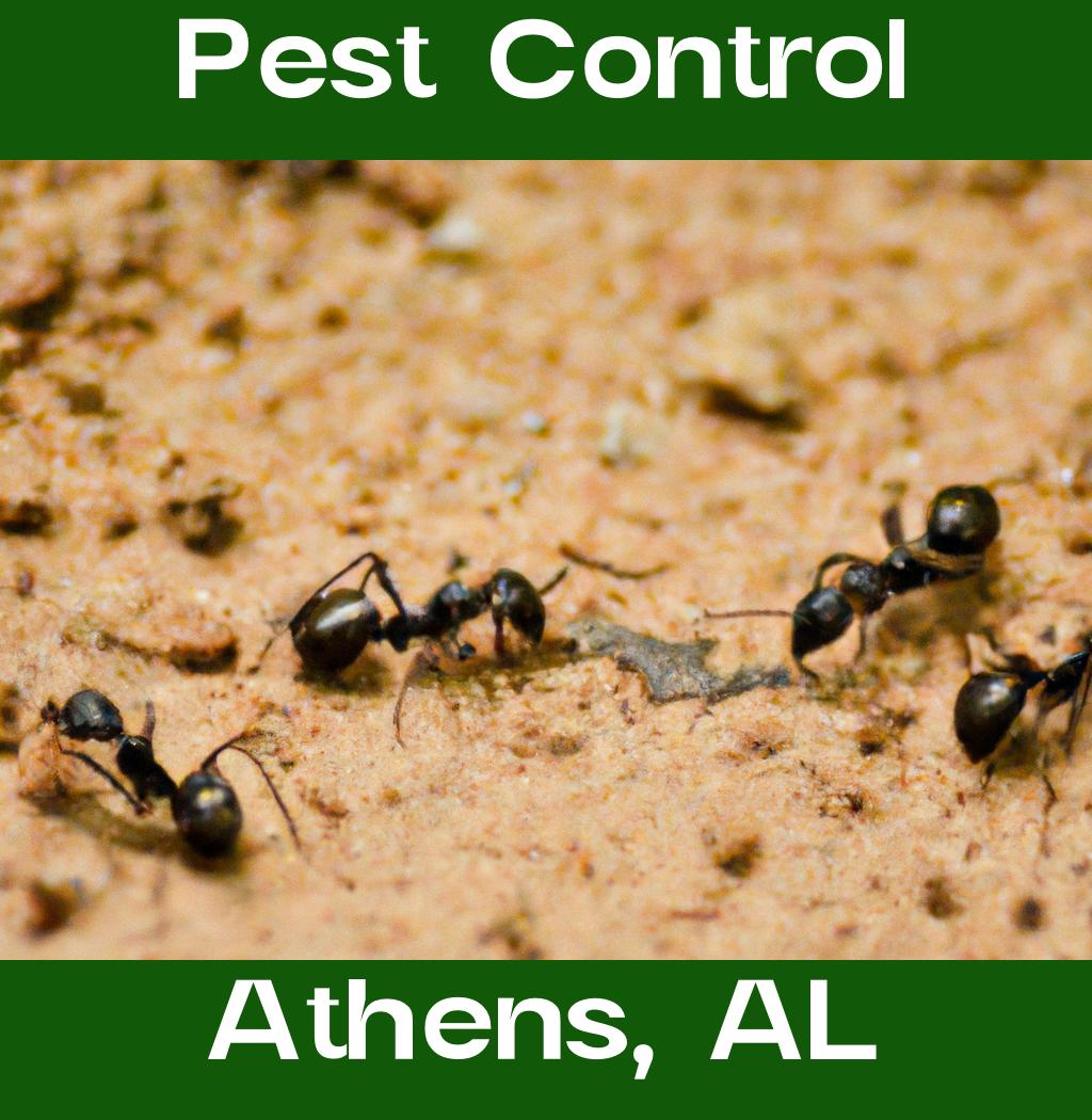 pest control in Athens Alabama