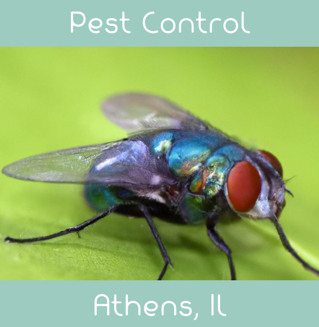pest control in Athens Illinois