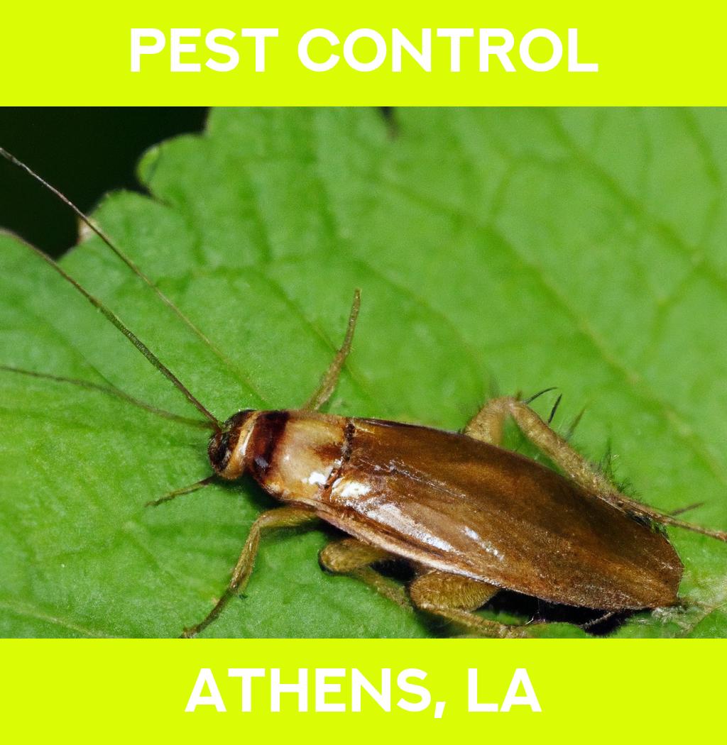 pest control in Athens Louisiana
