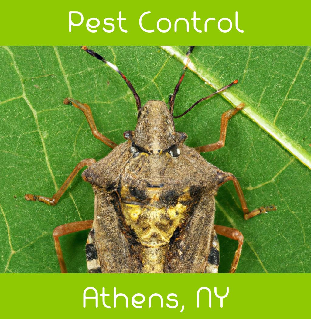 pest control in Athens New York