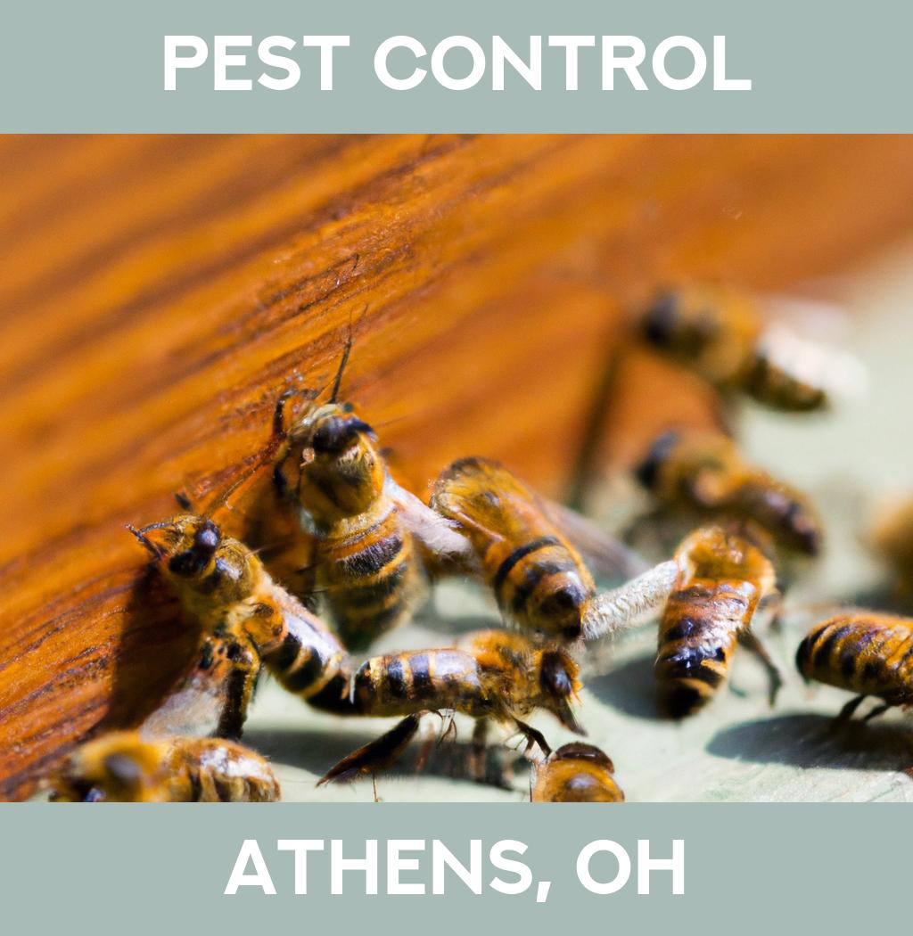 pest control in Athens Ohio