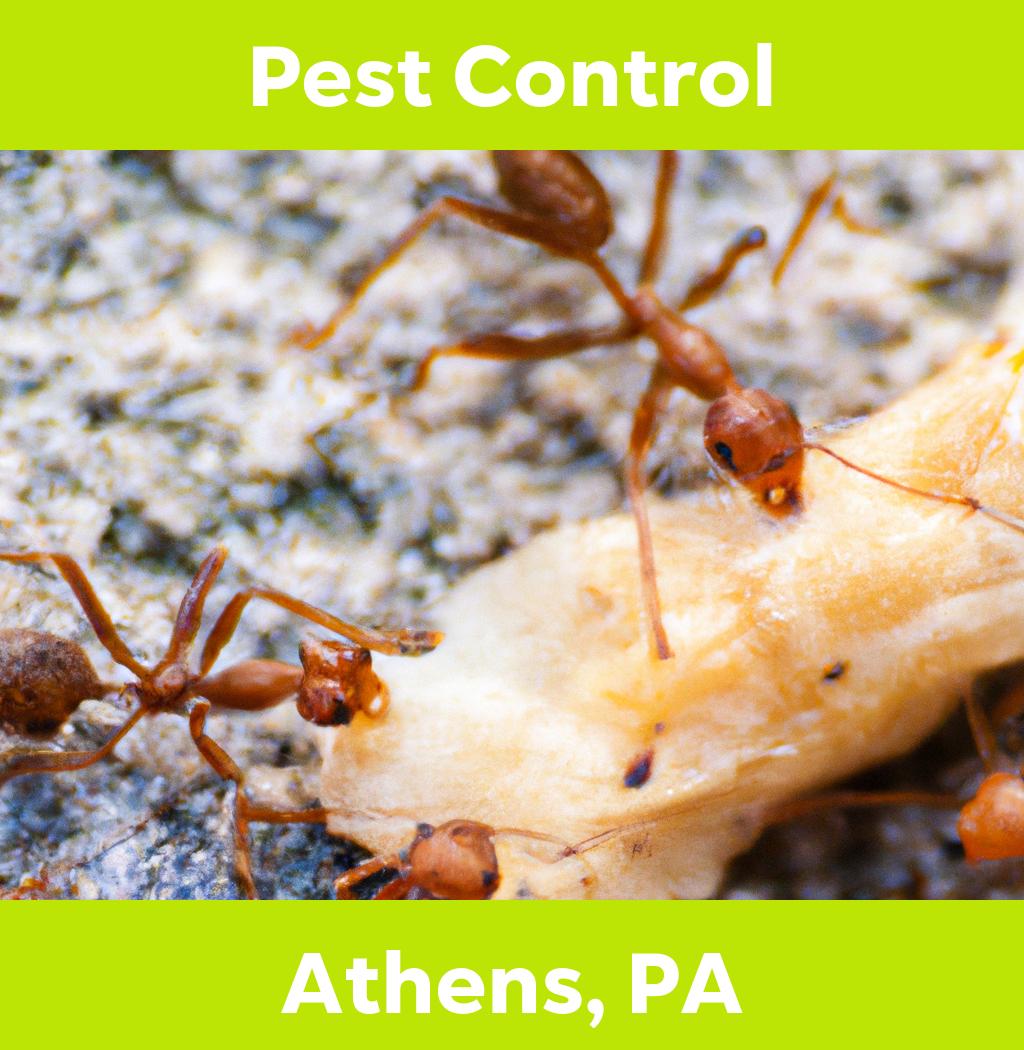 pest control in Athens Pennsylvania