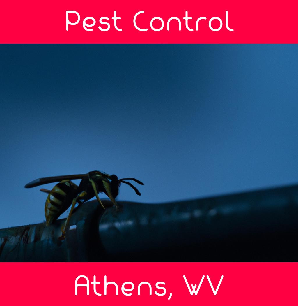 pest control in Athens West Virginia