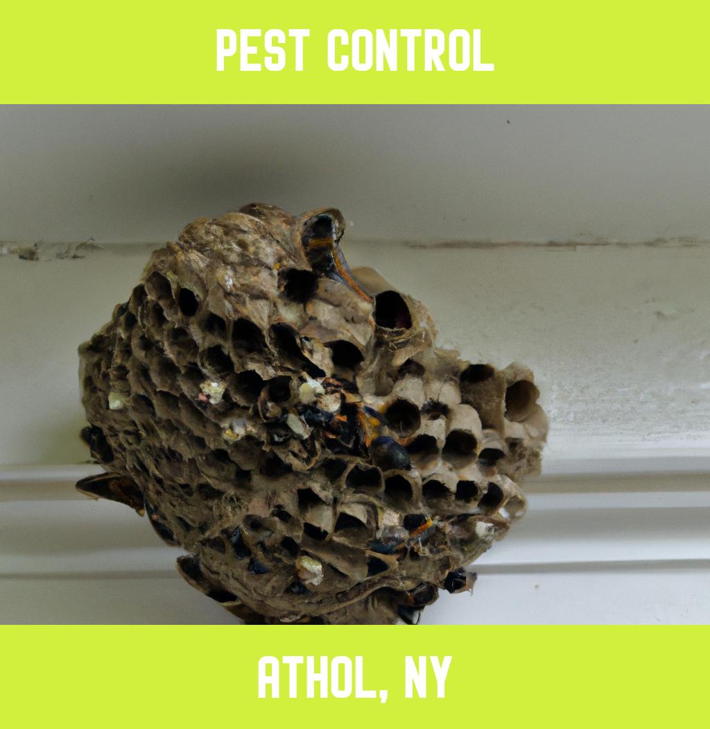 pest control in Athol New York