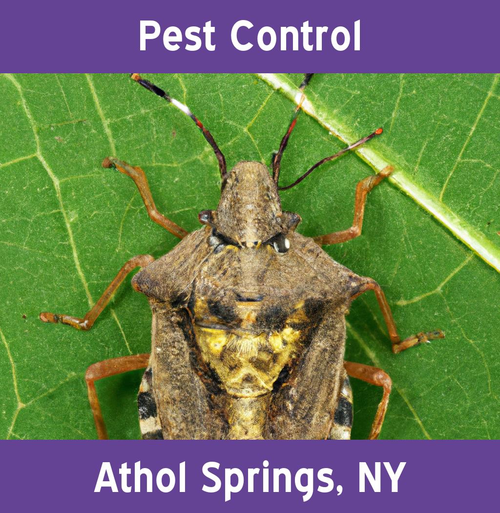 pest control in Athol Springs New York