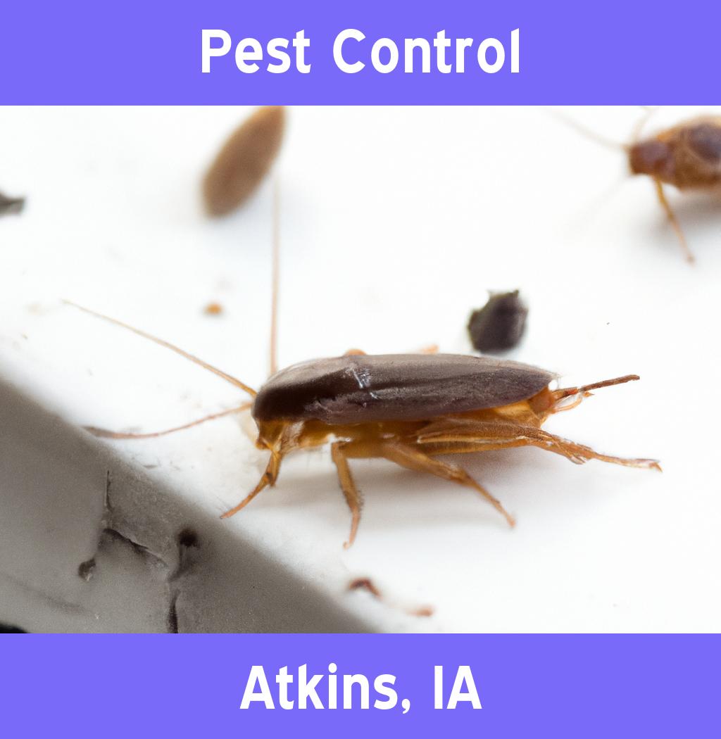 pest control in Atkins Iowa