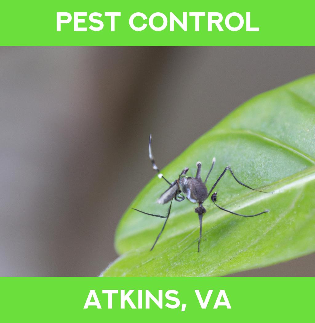 pest control in Atkins Virginia