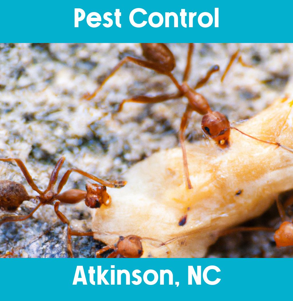 pest control in Atkinson North Carolina
