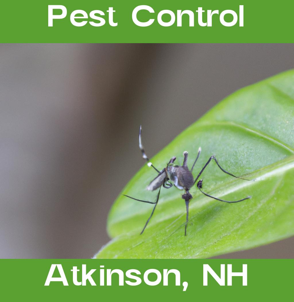 pest control in Atkinson New Hampshire