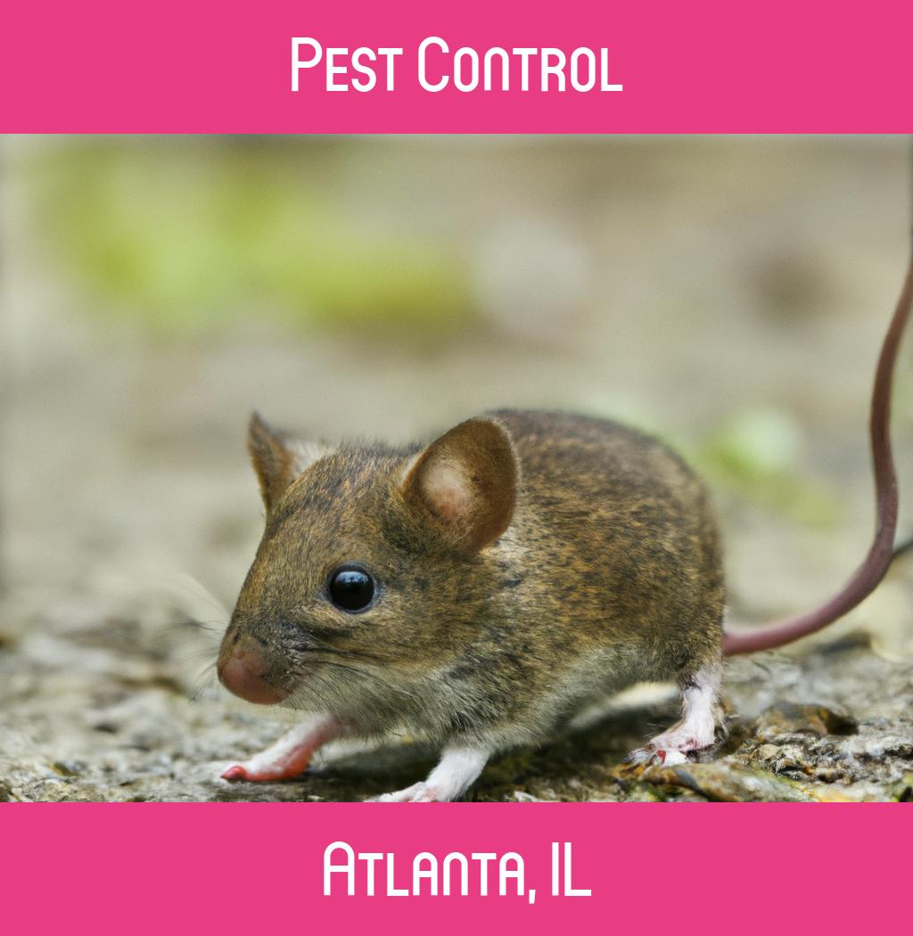 pest control in Atlanta Illinois