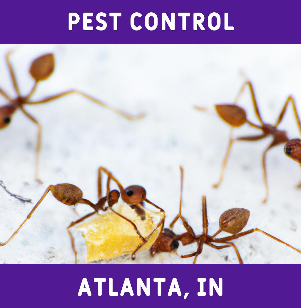 pest control in Atlanta Indiana