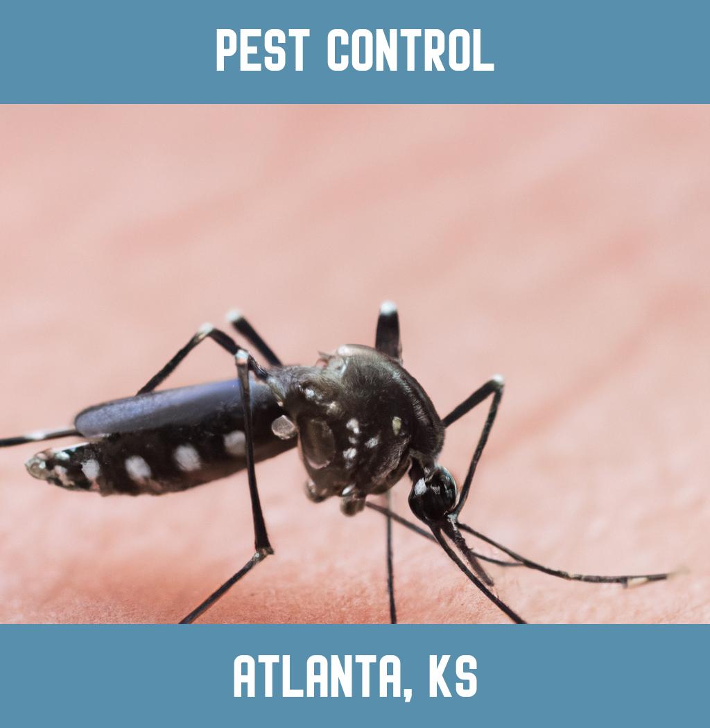 pest control in Atlanta Kansas