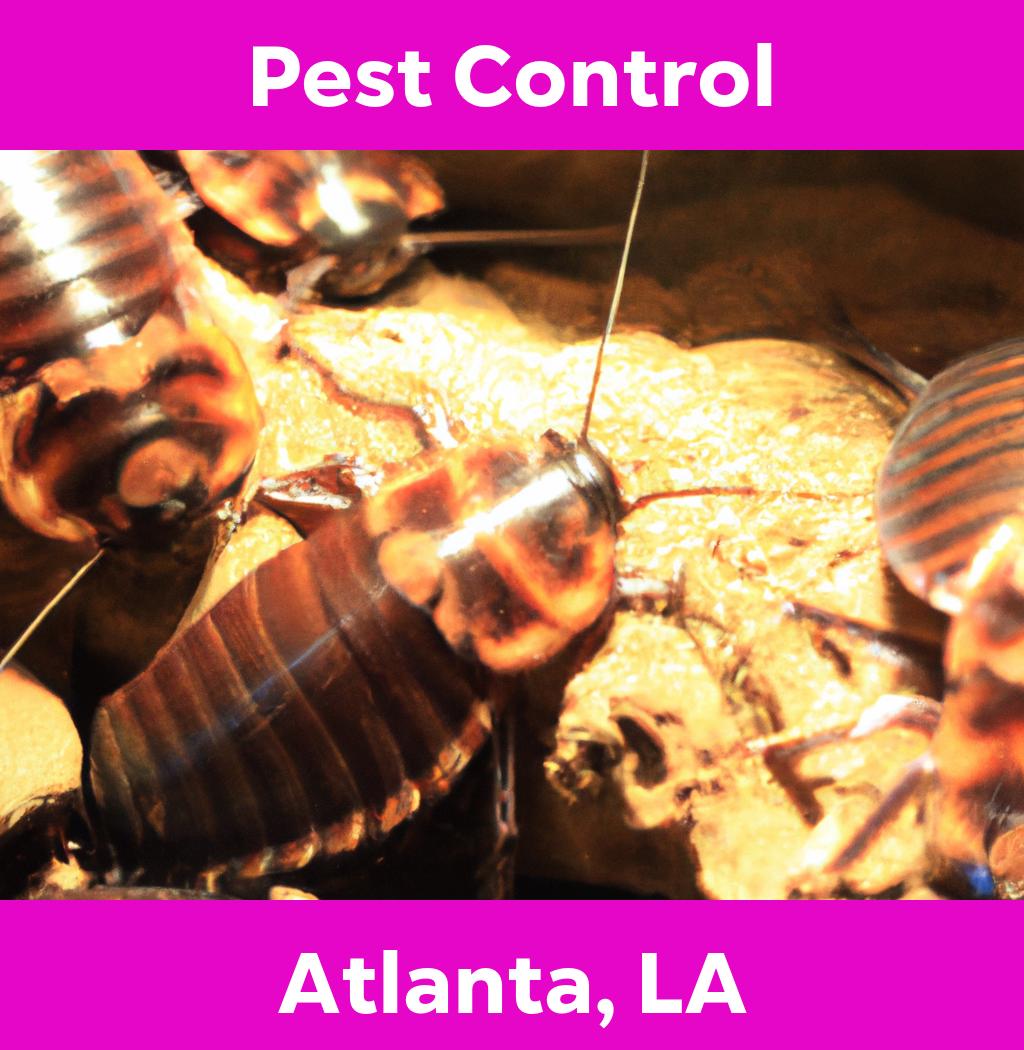 pest control in Atlanta Louisiana