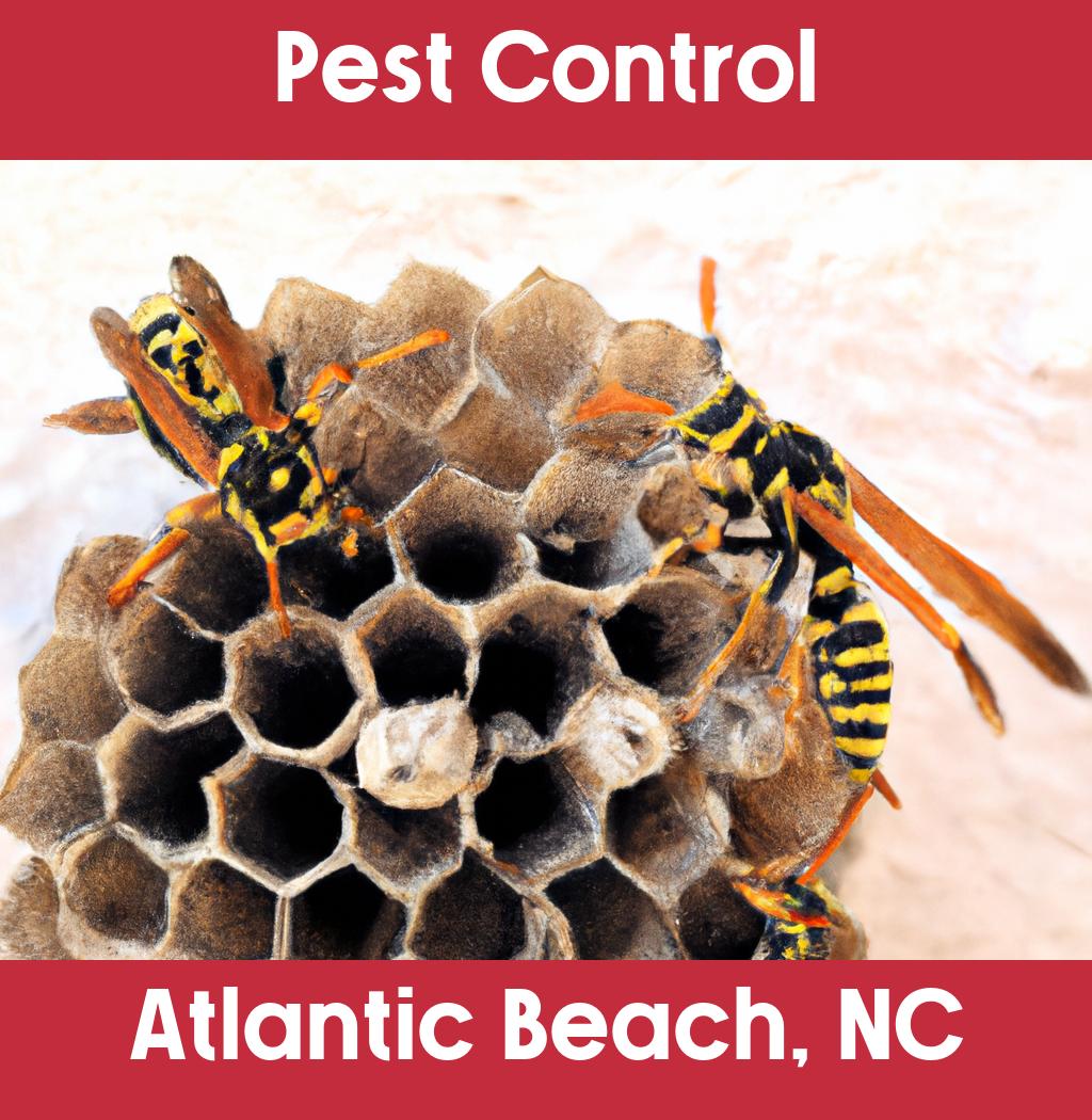 pest control in Atlantic Beach North Carolina