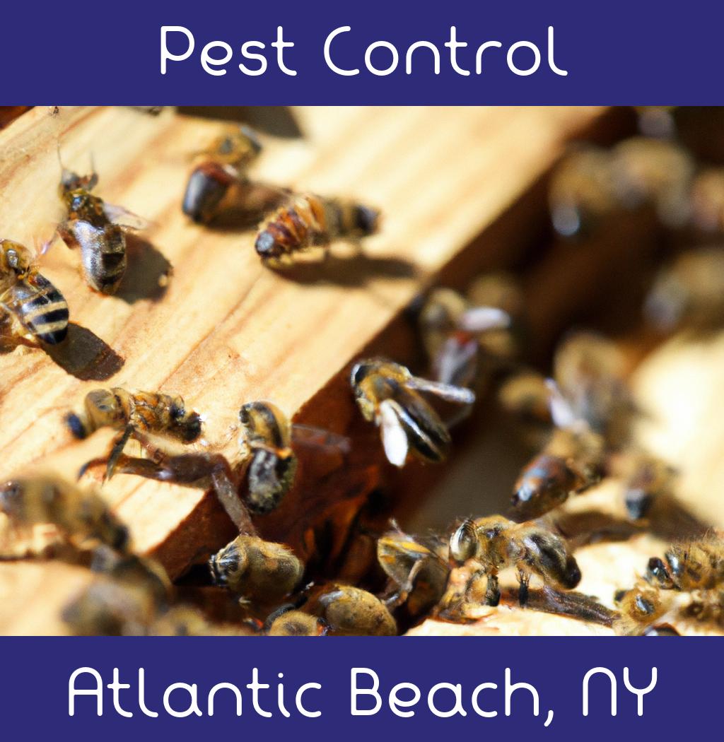 pest control in Atlantic Beach New York