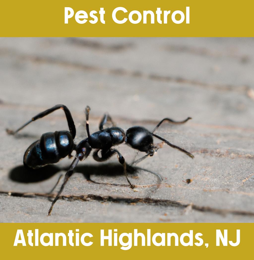 pest control in Atlantic Highlands New Jersey