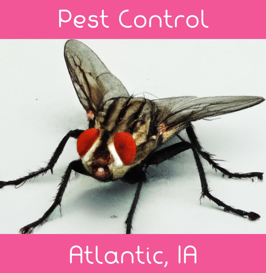 pest control in Atlantic Iowa