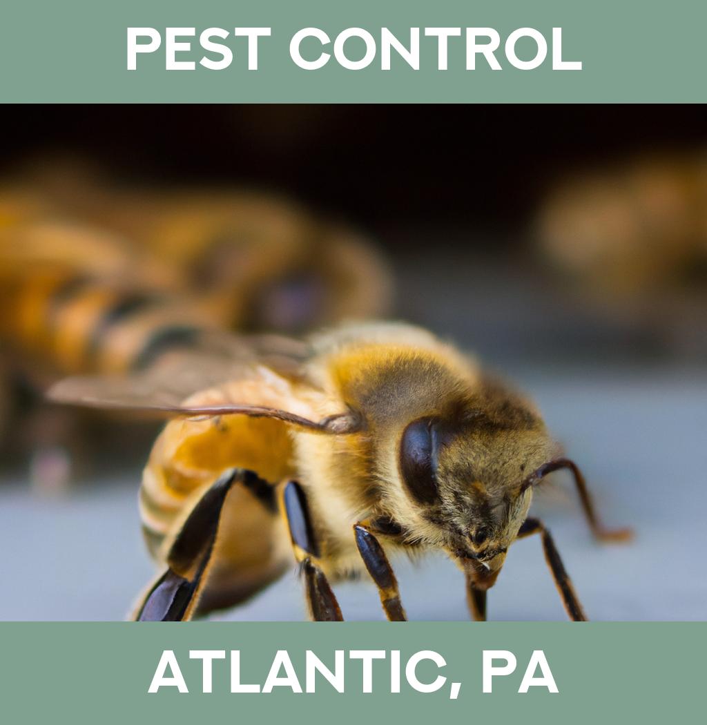 pest control in Atlantic Pennsylvania