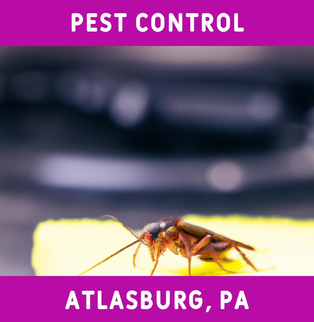 pest control in Atlasburg Pennsylvania