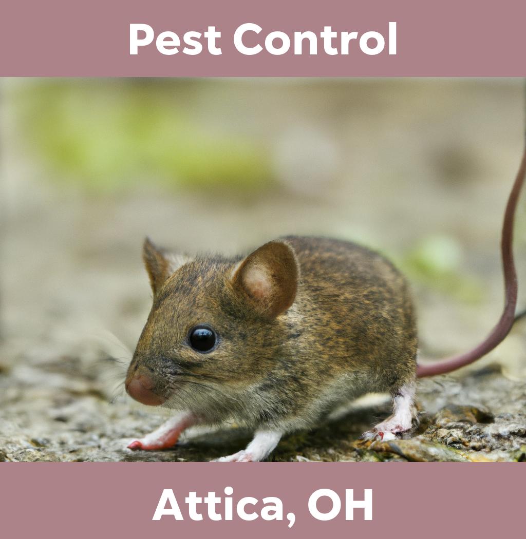 pest control in Attica Ohio