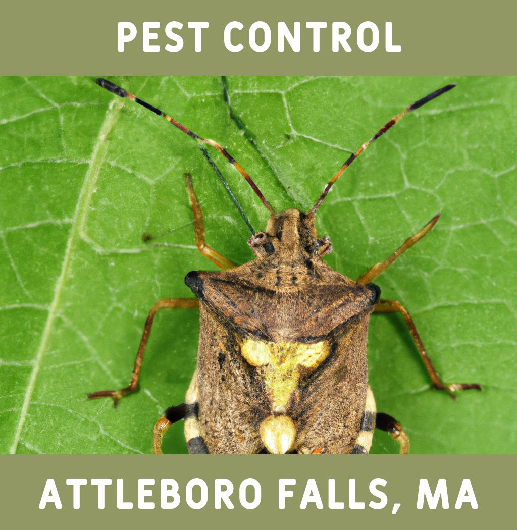 pest control in Attleboro Falls Massachusetts