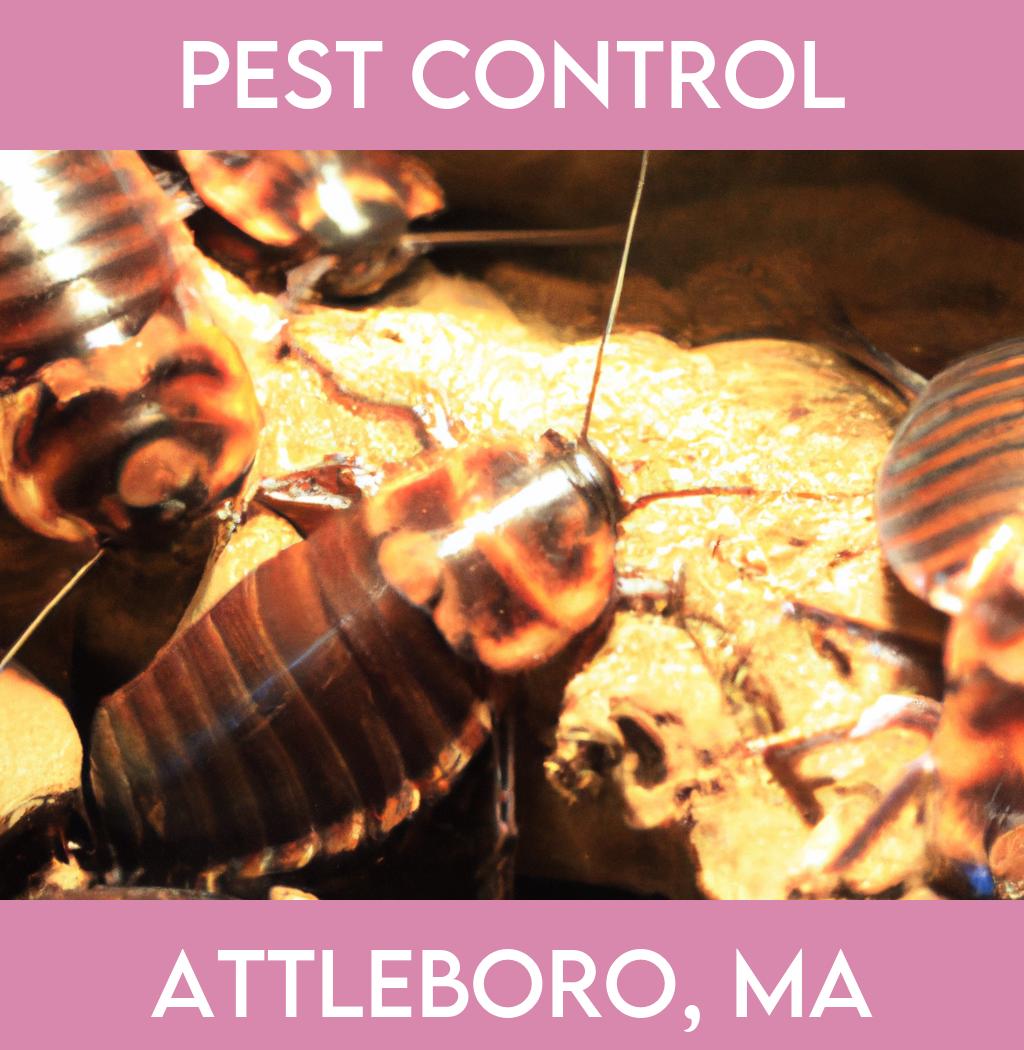 pest control in Attleboro Massachusetts
